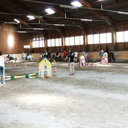 Reiterhof Pichler Geboltskirchen