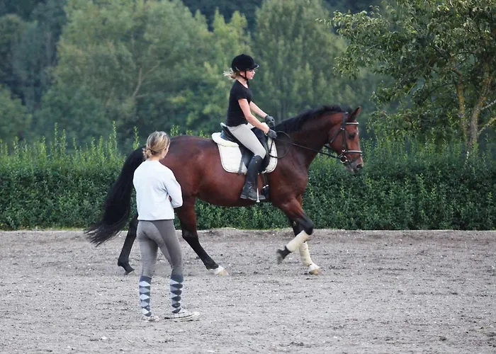 Ξενοδοχείο Reiterhof Pichler