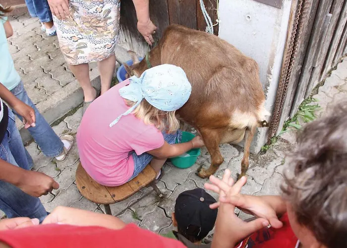 Ξενοδοχείο Reiterhof Pichler