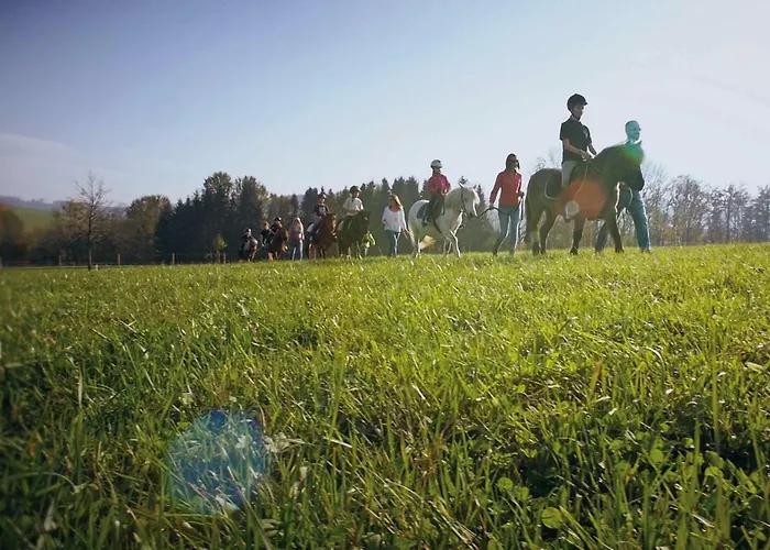 Reiterhof Pichler 3*