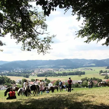 Hotel Reiterhof Pichler Geboltskirchen