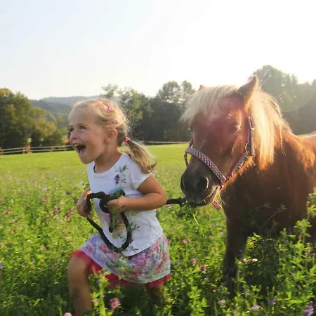 Reiterhof Pichler Hotel