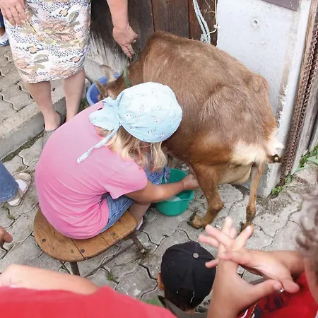Hotel Reiterhof Pichler