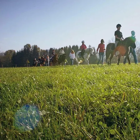 Reiterhof Pichler 3*